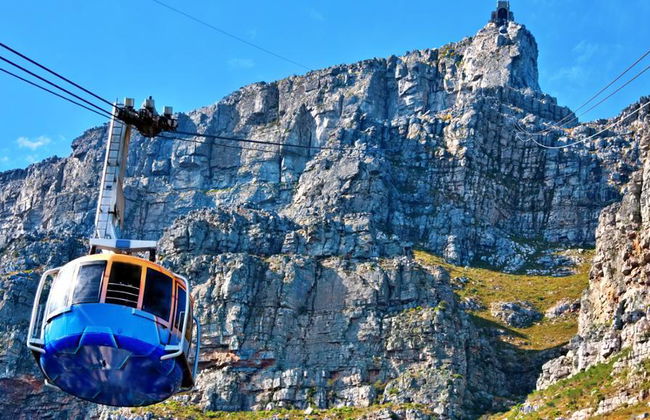The Best of Cape Town - Full-Day Private Tour - Foto 2